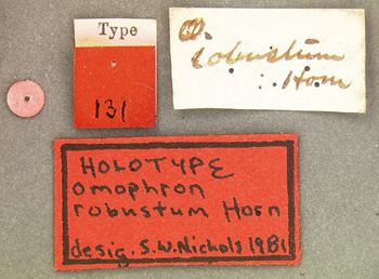 Media type: image;   Entomology 131 Aspect: labels